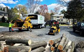 Best Arborist Consultation Services  in West Chicago, IL